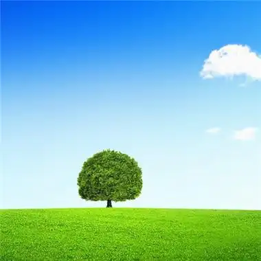 头像图片温馨_会带来好运的微信头像大全 微信最吉利的好看头像来袭啦