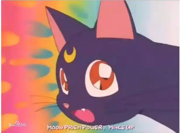 《美少女战士》中黑猫露娜截图