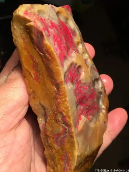 昌化田黄鸡血石235克血量特多有三条血筋中性质地血筋相通