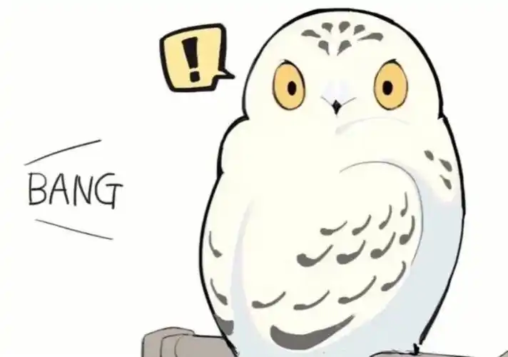 哈利的小宠物海德薇