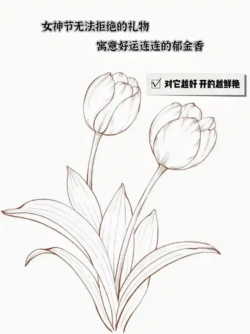 浪漫之语从来都不止属于玫瑰,一束春天的郁金香不仅能寓意无尽的浪漫