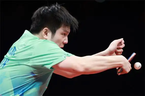 这一次樊振东成了不少人的嘴替