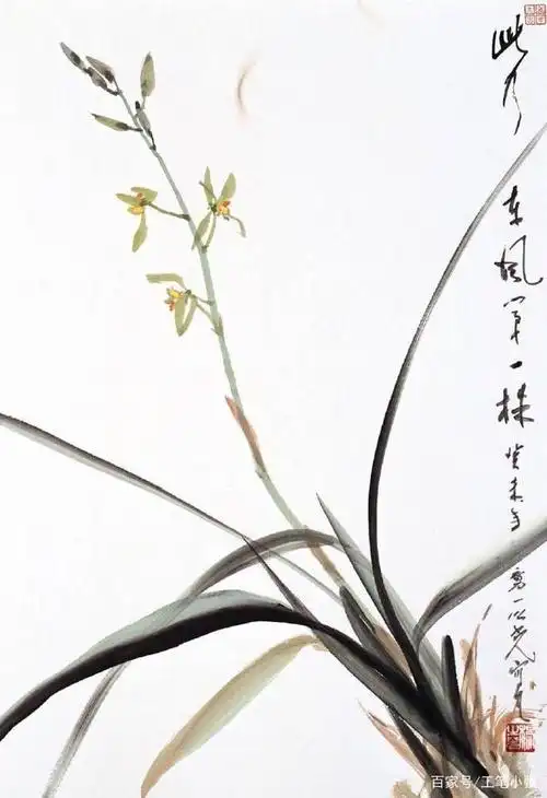 蕙质兰心,美韶容,何啻值千金.写意兰花欣赏