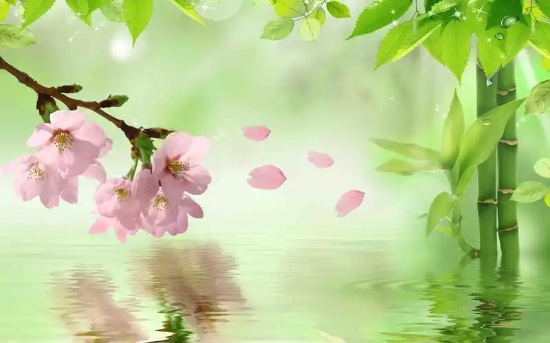 富贵竹山水画 3d立体电视背景墙壁画订制