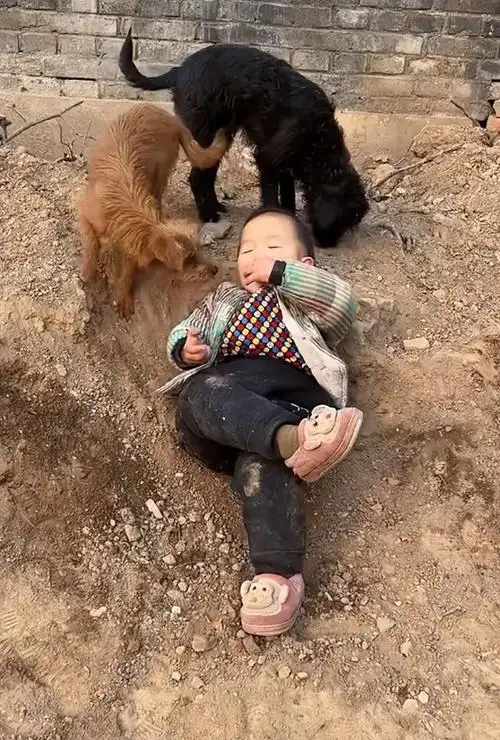 小铁蛋先生:2岁萌娃被父母"散养",爆笑日常勾起网友童年回忆