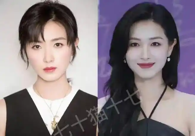 现在,整体气质改变很多,面部线条圆润柔和,像是大s和江疏影的合体.