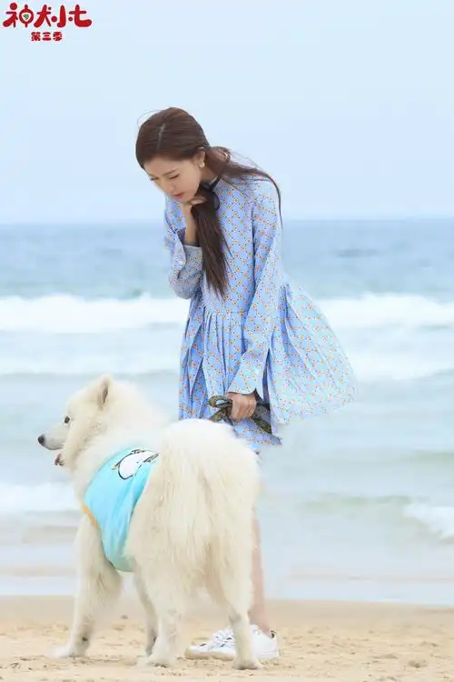 宋妍霏神犬小七3甜美图片89