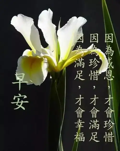 最新微信早安祝福图片 最新早上好漂亮图片大全