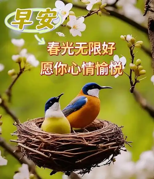 4月22日早安漂亮图片问候祝福语|快乐|清晨|幸福|好心情|早上好_网易
