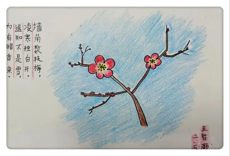 广元外国语学校小学部2.5班《梅花》绘画集锦