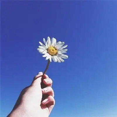 微信风景头像图片唯美图片大全图片