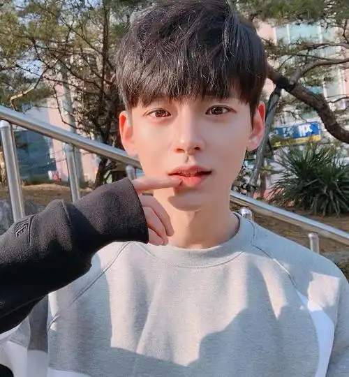 "小奶狗"男士发型