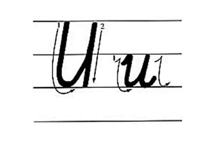 tom teaching |第一期:英文字母的书写