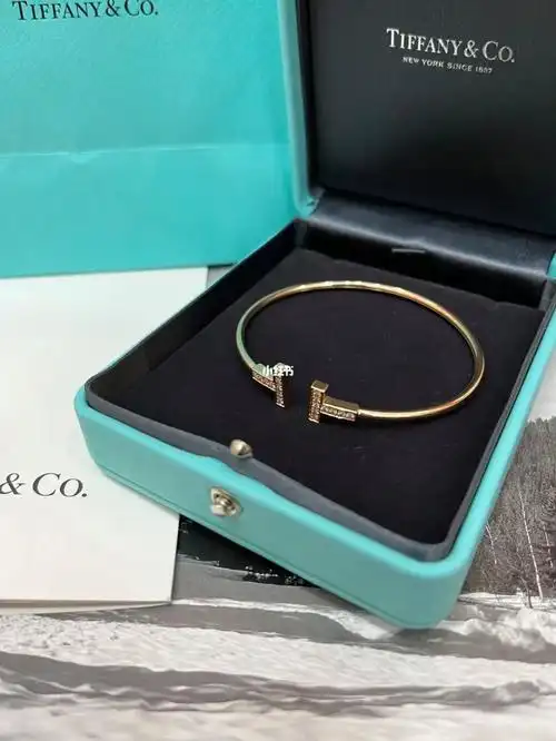 tiffany蒂芙尼 t系列 经典线圈手镯