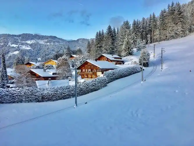 想看看瑞士阿尔卑斯山的雪景吗
