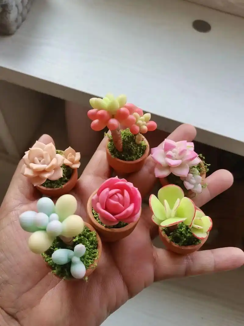 树脂粘土微缩多肉 可零售 可批发