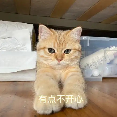 做了几个超级可爱的表情包