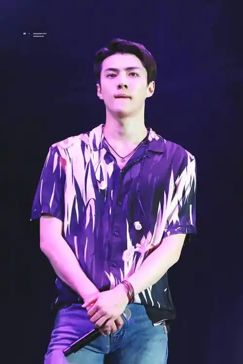 吴世勋乐天演唱会