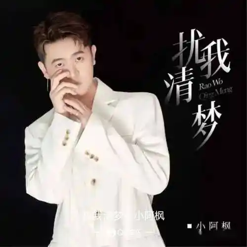 音乐: 小阿枫 - 扰我清梦【歌曲简介】——愿你是潇潇的风 扰我夜半清