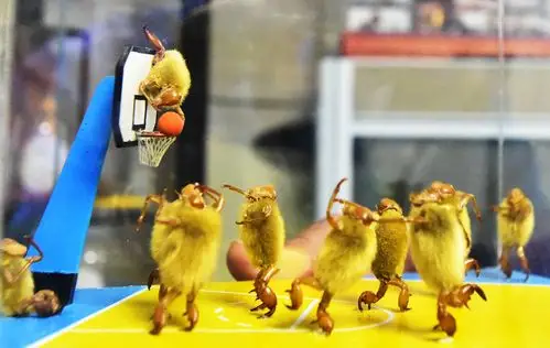 济南非遗产传人"毛猴杨":融入面塑纸雕技艺,用毛猴复现老济南的旧日烟