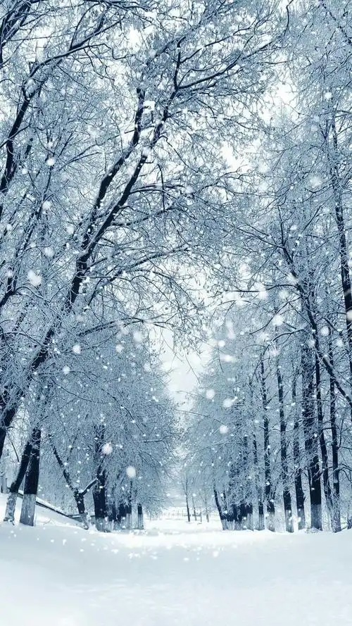 冬雪 下雪 冰雪 摄影 白色 银装