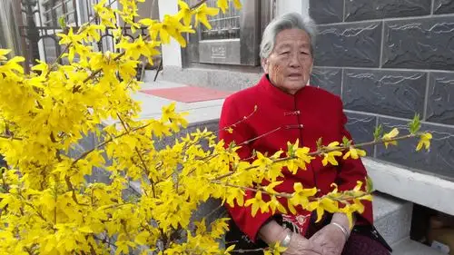 经常没钱花的老娘,给村小学攒出一条上学路|豫记