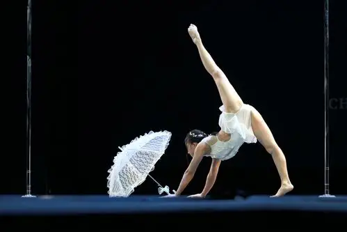 2018第8届中国钢管舞锦标赛