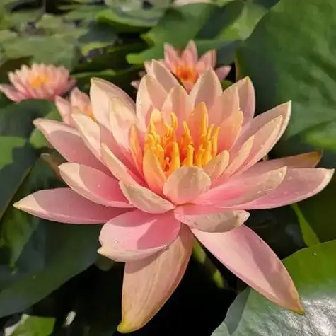 30一40岁成熟女人头像 高清简单干净有品位的女人微信头像图片_女生