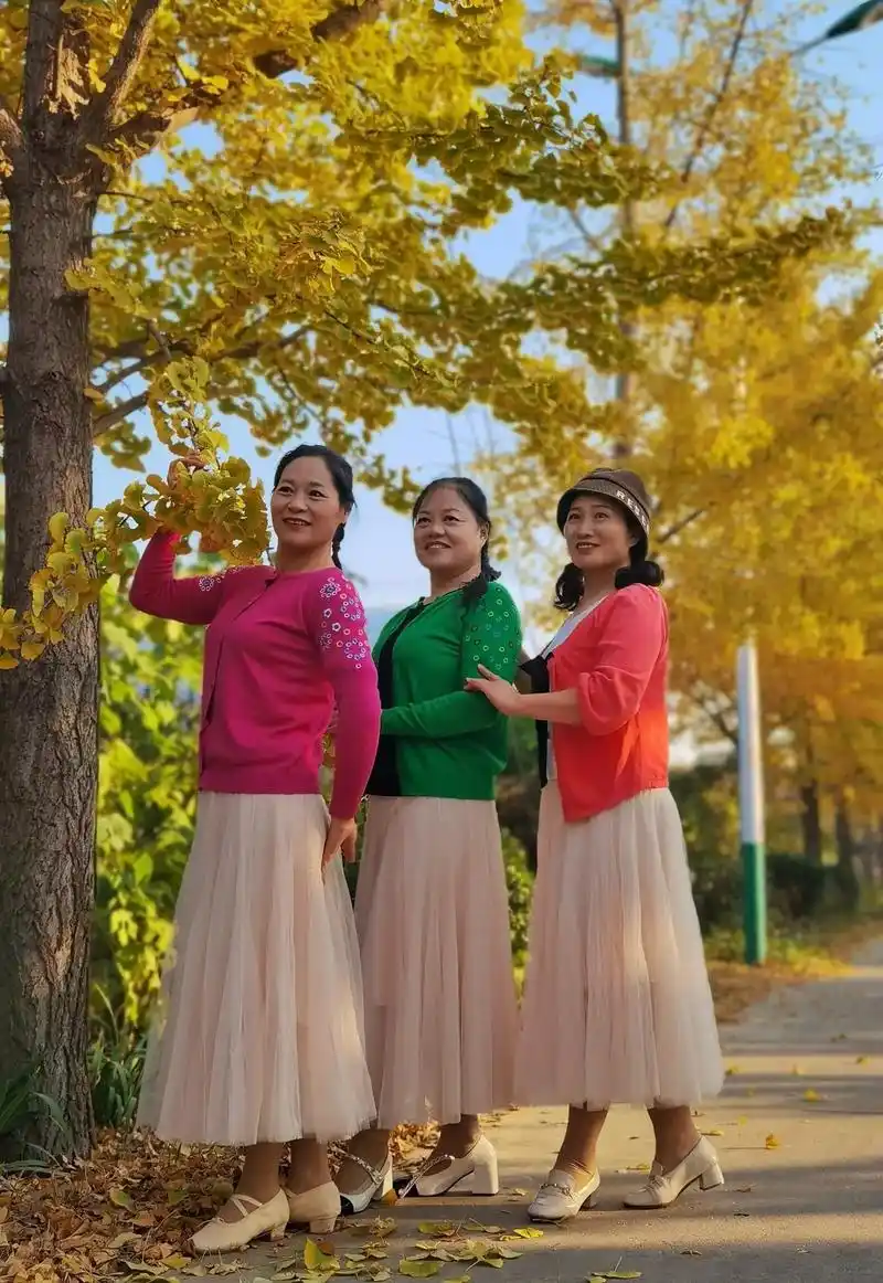 聆冬印象(手机随拍) 莱阳市莱阳濯村櫻花园 志同道合的人才 - 抖音