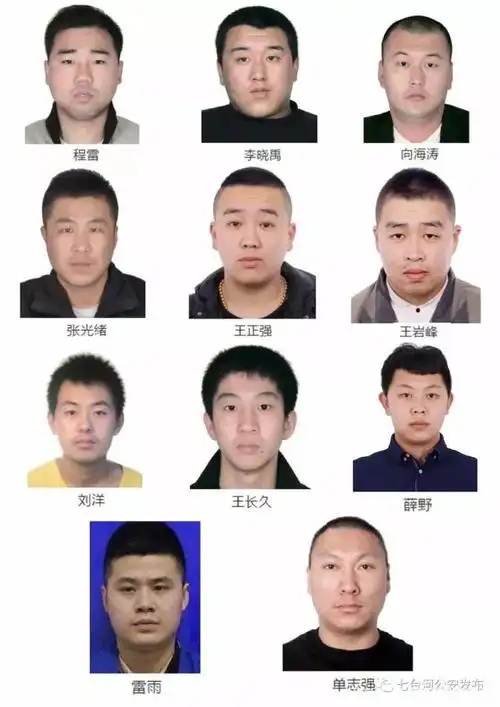 提供这个涉黑恶团伙犯罪线索,最高奖励20万!