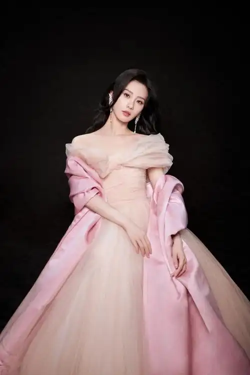 刘诗诗一袭粉色星星裙女人味十足(刘诗诗优雅的气质好高级)(4)