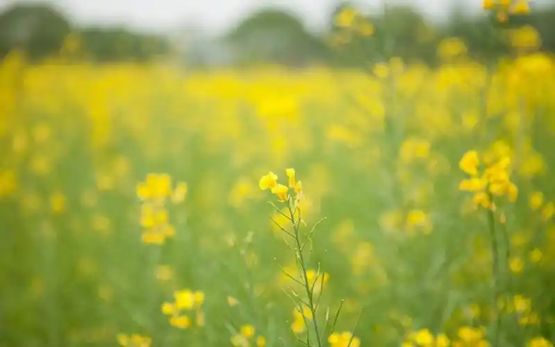 好看的朋友圈封面壁纸背景图适合中年人使用