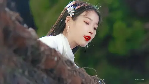 iu | 德鲁纳酒店 cr:黑崎一贤 - 堆糖,美图壁纸兴趣社区