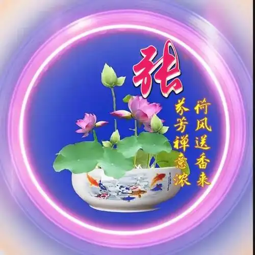 好看的荷花头像带范姓氏 姓氏头像荷花送香来