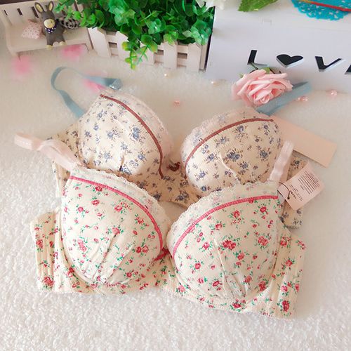 桑扶兰集团品牌内衣纯棉舒适透气薄款可插片可爱少女蓝红碎花文胸