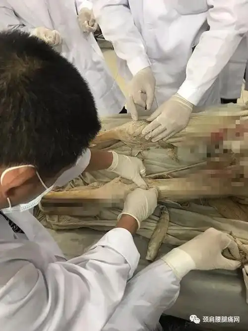 学员亲自动手操作,练习将理论知识通过实践巩固真是大饱眼福医学院校