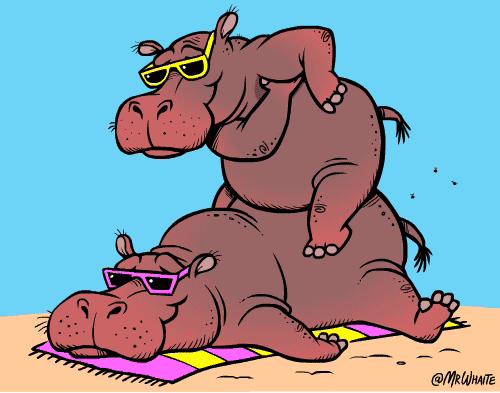 21个有趣的动物冷知识 今天才知道?