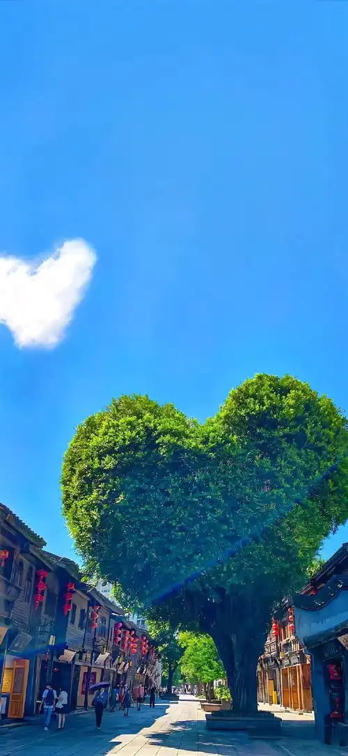 好看的壁纸就在眼前