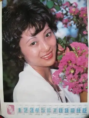 [董智芝挂历] 图书价格_书籍图片_网购评论_孔夫子旧书网