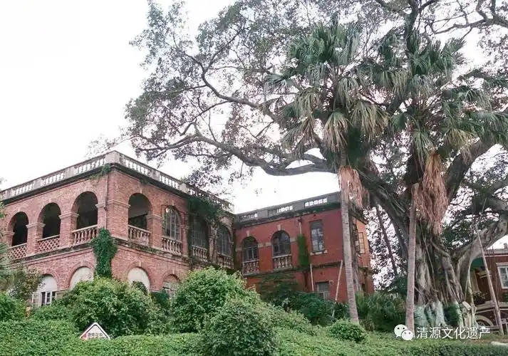 鼓浪屿日本领事馆古树的再生设计小记