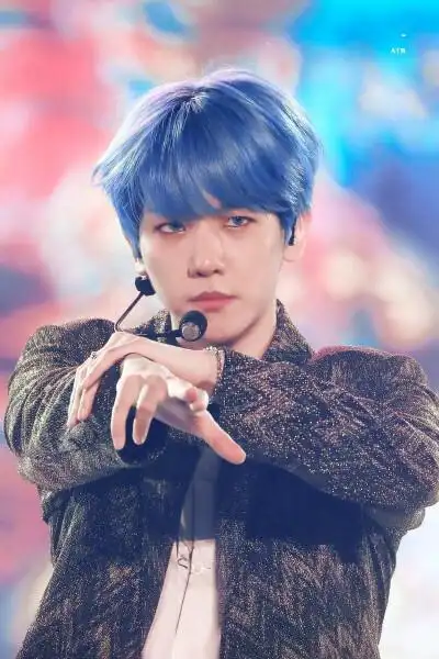 0条  收集   点赞  评论  边伯贤 蓝发 0 5 于沫君  发布到  exo 图片