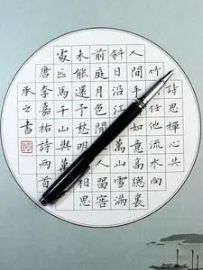 硬笔书法笔专用钢笔王者图片