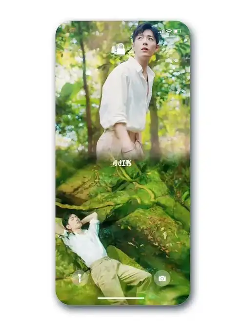 肖战壁纸绿野仙踪