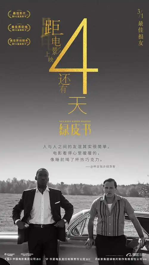 电影绿皮书倒计时海报