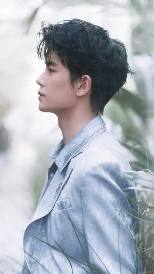 桃花姬食品品牌代言人任嘉伦