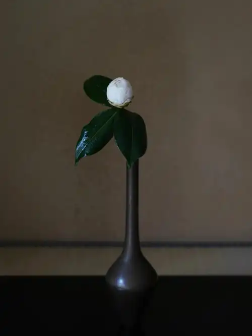 花     白椿花入 唐铜角木插花/拍摄@探微庭@既見庵茶室#日本茶道