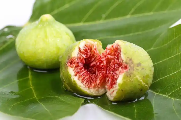 无花果作用与功效有哪些无花果的作用有哪些