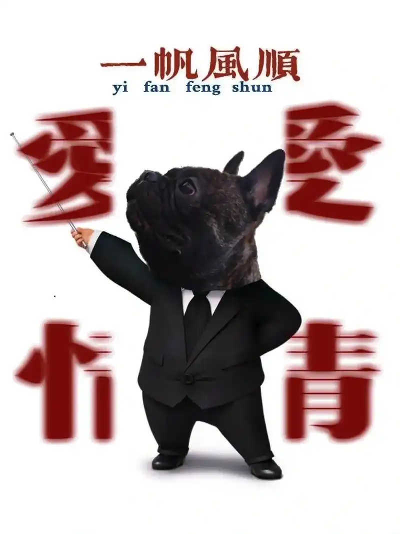 一只单身汪肉总的脱单指南看能看懂不