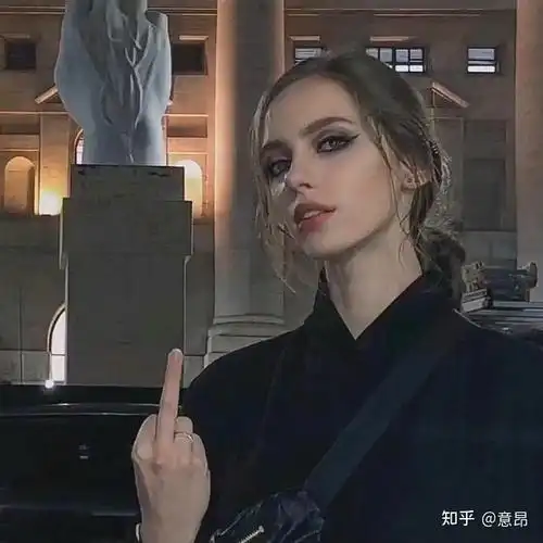 竖中指头像好看的那种