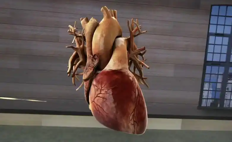 然后,演示者把心脏掉了个个.